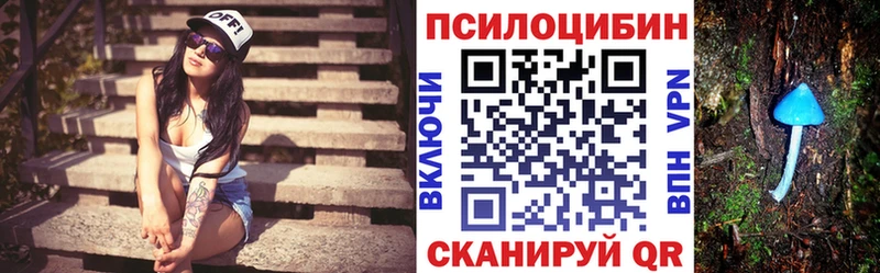 Псилоцибиновые грибы Cubensis  Купить где  Новая Ляля 